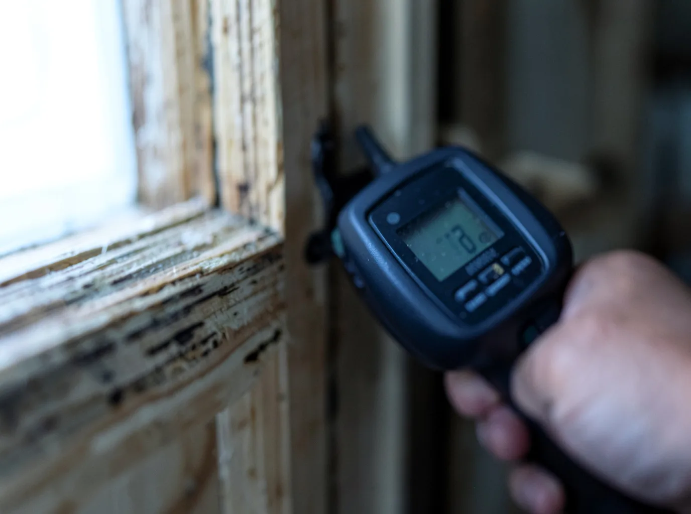 Moisture Inspection And Documentation in Quakertown, PA